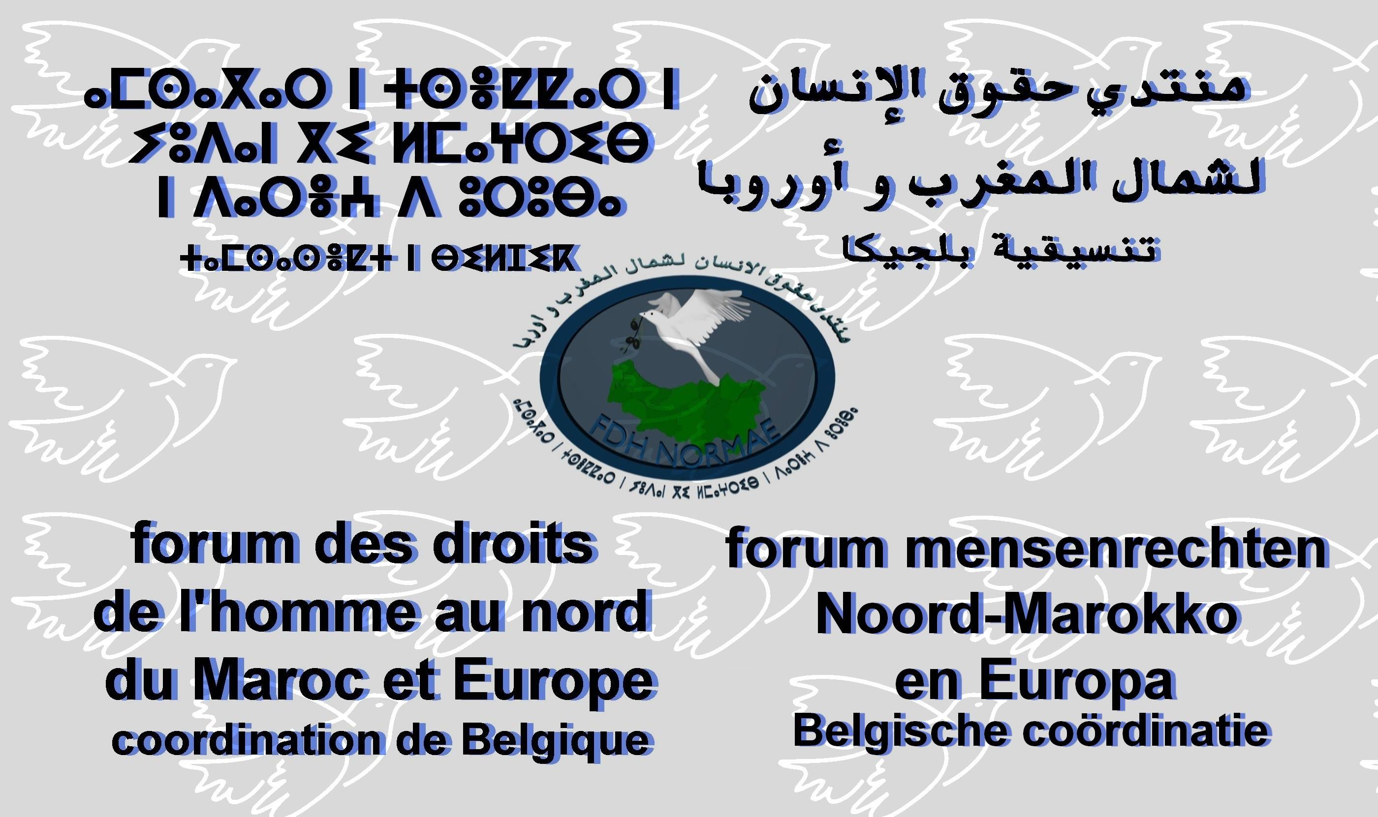 تنسيقية بلجيكا لمنتدى حقوق الإنسان لشمال المغرب وأوروبا تندد بأحداث لييج