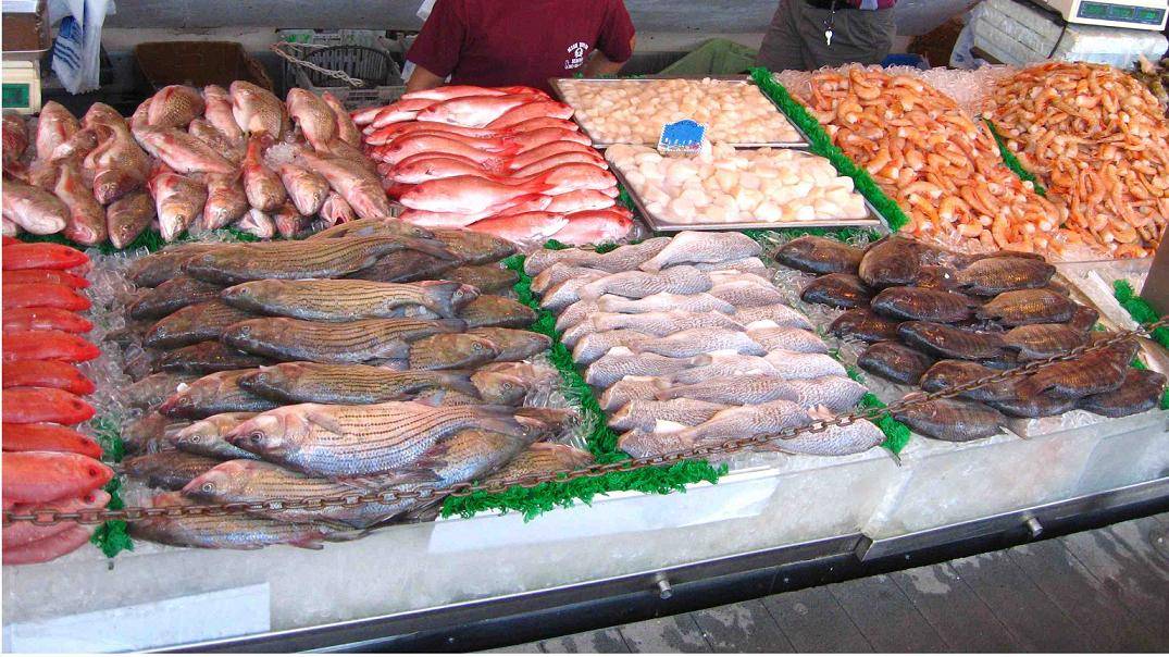 دراسة إسبانية تحذر من استهلاك الأسماك الكبيرة بالناظور و شمال المغرب بسبب الديدان