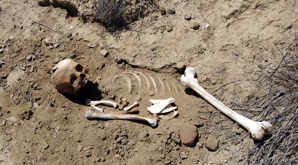 صور مؤثرة: الإهمال يؤدى لتناثر عظام الموتى في مقبرة دوار إيزيرارن ببني سيدال لوطا بالناظور