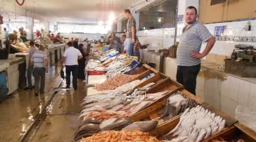 طارق يحيى يسارع الزمن لهدم سوق السمك بالناظور و سيشيد جزء ثالثا من السوق البلدي مكانه