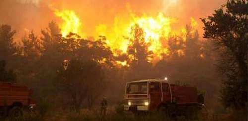 النيران تشتعل و تلتهم 10 هكتارات من الغابات بجماعة إفرني بإقليم الدريوش