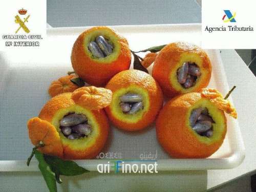 صور مثيرة: شرطة مليلية تحجز 36 كلغ من البرتقال “المحشش” القادم من الناظور