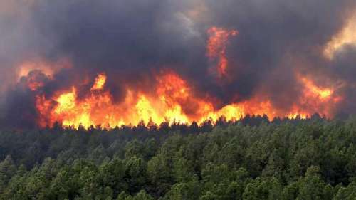 فضيحة بالناظور: النيران تحرق هكتارات من غابة بني سيدال لساعات و هواتف الدرك و المياه و الغابات لا ترد!!