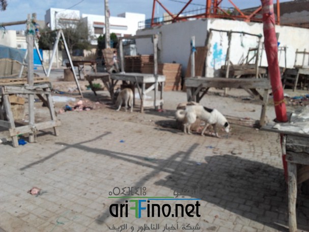شاهد بالصور :كارثة بمجزرة بلدية ميضار تهدد الساكنة في غياب تام للمسؤولين