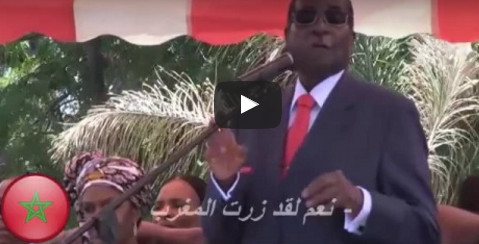 شاهد بالفيديو.. رئيس الزيمبابوي يرد على الملك