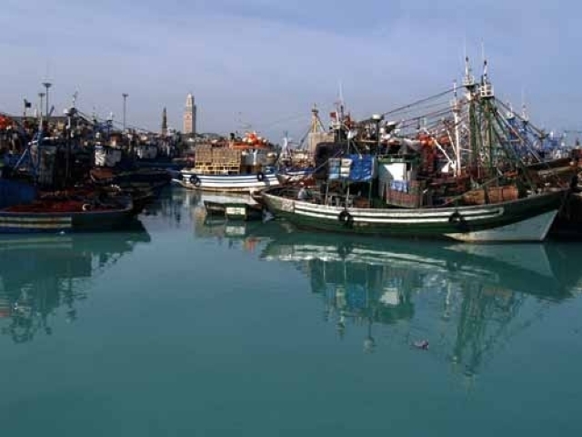 “مافيا” وطنية تقف وراء تهريب الأسماك من ميناء الحسيمة