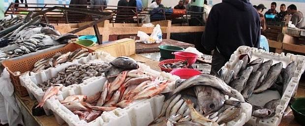 تقرير يفضح مافيات متورطة في إشعال أسعار السمك خلال رمضان