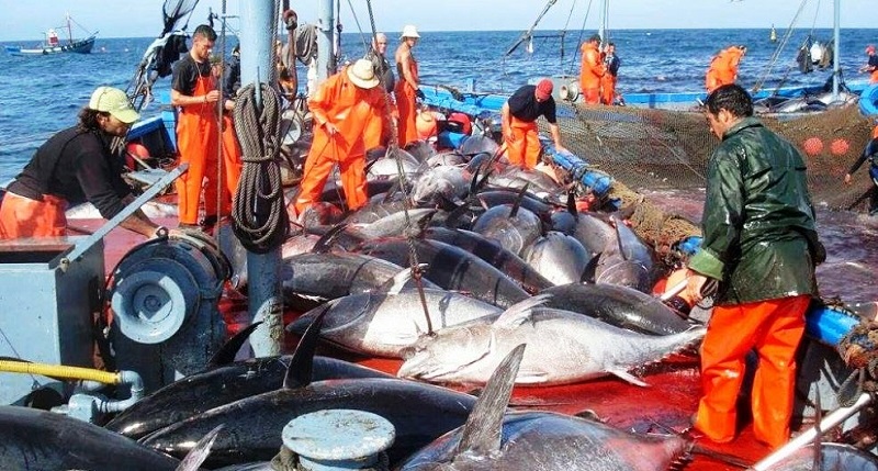 إجراءات قانونية جديدة لمحاربة الصيد غير القانوني بالناظور