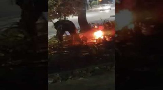 فيديو فاضح: مجهولون يشعلون النيران في حديقة 3 مارس المهيئة حديثا بالناظور