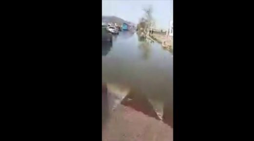 فضيحة بالفيديو: الواد الحار يغرق مدخل مدينة الناظور و يطرد الشرطة