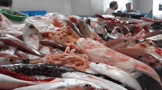 الناظور قريبا.. انخفاض أسعار السمك والمواد الغذائية في تطوان وضواحيها