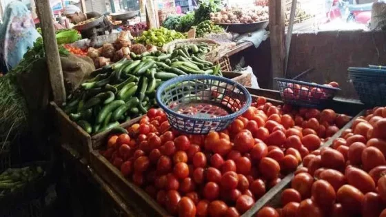 سعر الطماطم يبلغ 9 دراهم للكيلوغرام بسوق الجملة بإنزكـان