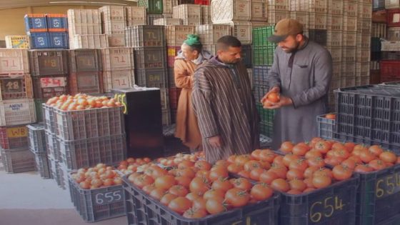 الحكومة تعد مجددا بخفض أسعار الطماطم والفلفل “في الأيام المقبلة”