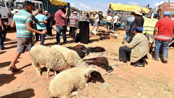تفشي الجائحة بعد عيد الأضحى .. المغاربة يتجنبون “ذروة وبائية” جديدة