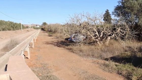 المنظمة العالمية للأرصاد الجوية: المغرب يعيش أقسى جفاف منذ 40 سنة