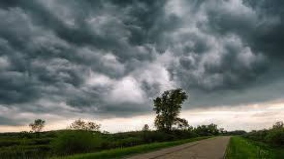 توقعات أحوال الطقس اليوم الأربعاء : سحب مع نزول أمطار متفرقة