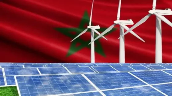 كلفته تفوق 100 مليار درهم.. عملاق فرنسي يعلن عن مشروع ضخم لإنتاج الطاقتين الشمسية والريحية بالمغرب