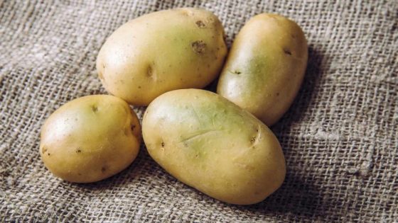هل تعلم ما هو سر ظهور البقع الخضراء على البطاطس ومدى خطورتها؟