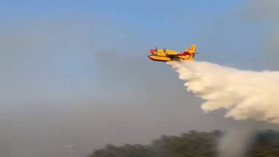الناظور+فيديو..طائرات “كنادير” تتدخل وتسيطر على حريق سيدي البشير بعدما أتى على 10 هكتارات