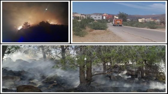 بالصور :السلطات تسارع الزمن لاحتواء السنة النار المشتعلة بمزارع بني سيدال الجبل