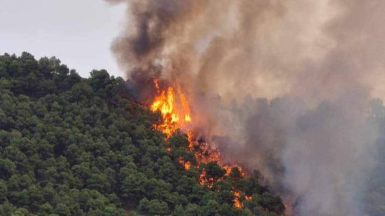 النيران تلتهم عشرات الهكتارات من الملك الغابوي بغابة إفرني إقليم الدريوش و”الكنادير” تتدخل