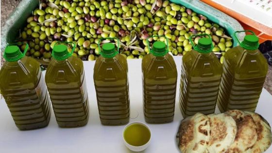 كشف سبب جديد وراء ارتفاع اسعار زيت الزيتون في المغرب؟
