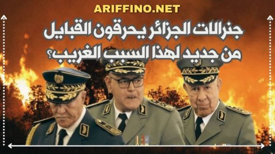 جنرالات الجزائر يحرقون القبايل من جديد لهذا السبب الغريب؟