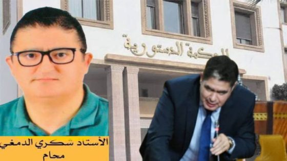 بعد إعادة الانتخابات 3 مرات.. المحكمة الدستورية ترفض طعن الفضيلي لإسقاط “الفتاحي”