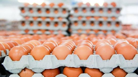 البيض يحطم الأسر و الأرقام القياسية في رمضان ؟