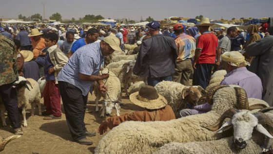 حقيقة الغاء عيد الأضحى في المغرب؟