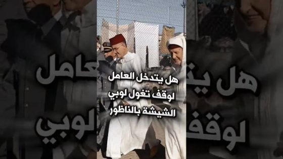فيديوغراف أريفينو: هل يتدخل العامل لوقف تغول لوبي الشيشة بالناظور
