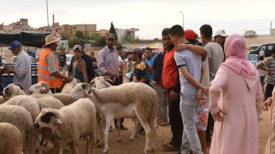 هذا هو السر وراء أزمة الأسر المغربية في عيد الأضحى؟