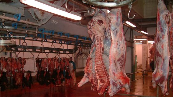 وزير الفلاحة يكشف السر الحقيقي وراء ارتفاع أسعار اللحوم في المغرب؟
