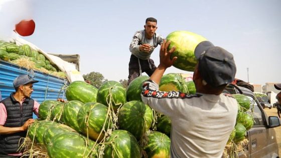 تأثير كبير و سار للتضييق زراعة الدلاح في المغرب؟
