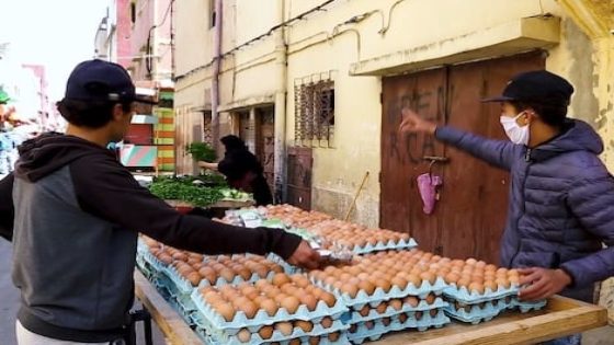 خطير: البيض يقتل في المغرب؟
